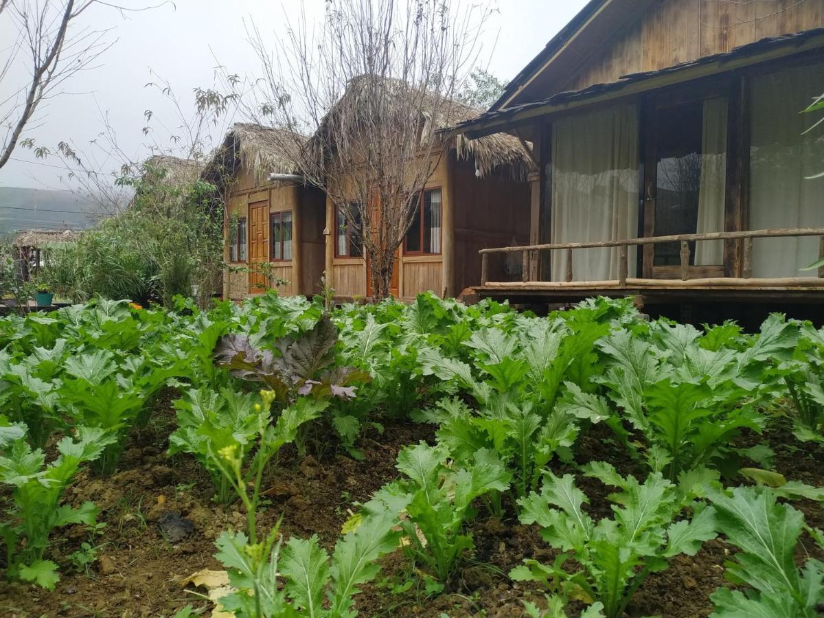 Anh Duc Homestay Sapa Εξωτερικό φωτογραφία